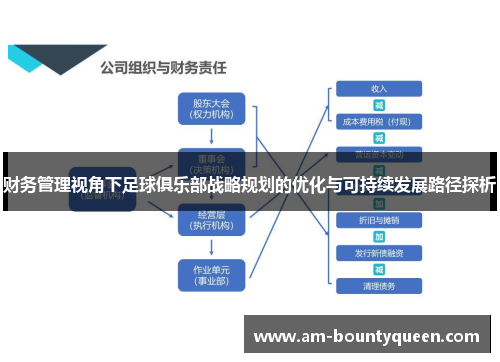 财务管理视角下足球俱乐部战略规划的优化与可持续发展路径探析