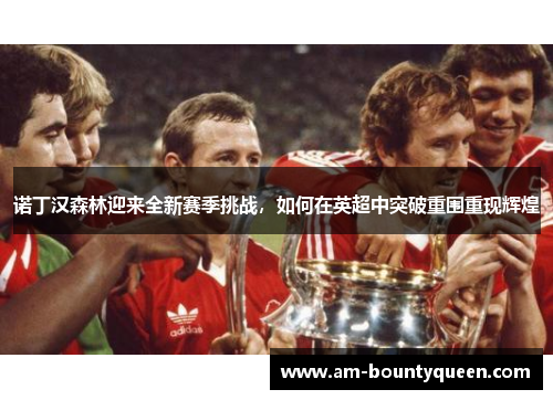 诺丁汉森林迎来全新赛季挑战，如何在英超中突破重围重现辉煌