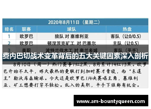 费内巴切战术变革背后的五大关键因素深入剖析