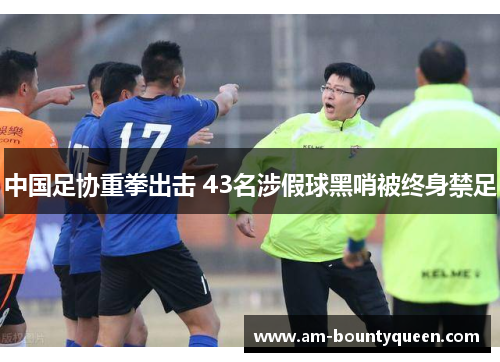中国足协重拳出击 43名涉假球黑哨被终身禁足